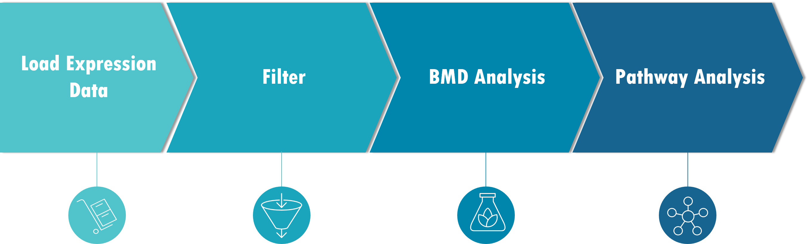 BMDExpress-2 workflow image