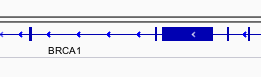 Gene model