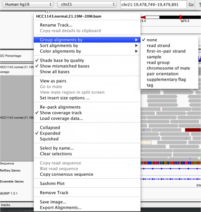 Changing how read alignments are sorted, grouped, and colored