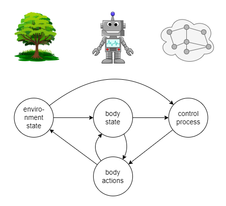 env, body, and CP